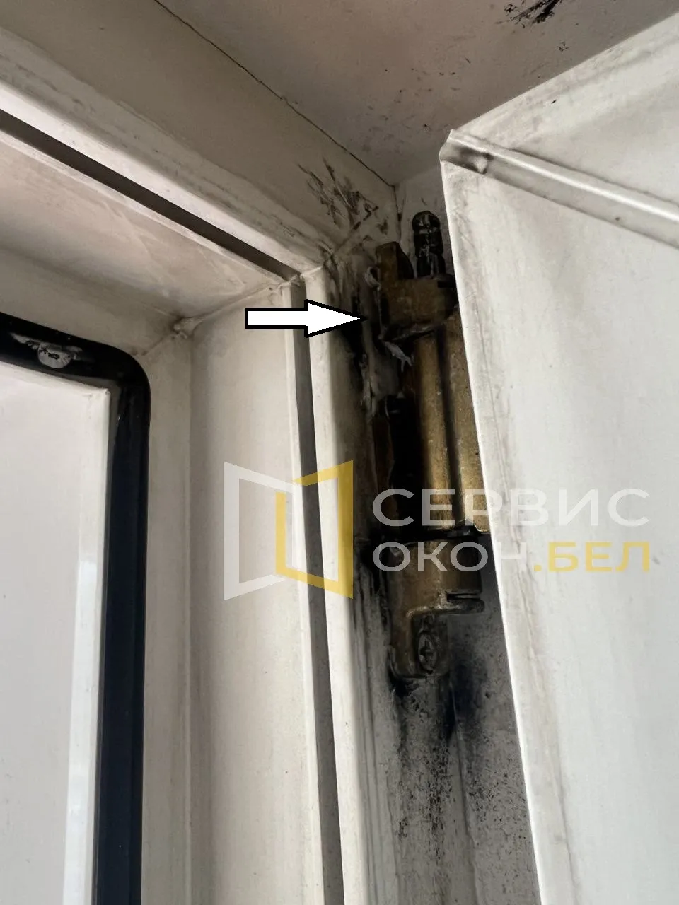 Главная 25 5667876